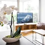 Relaxed Urban Living - Und Boardinghouse Дорнбирн